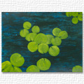 Water Lily Leaves